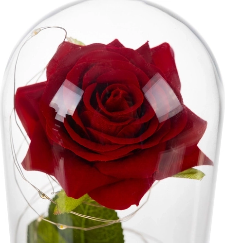 Glass dome for protection and effect