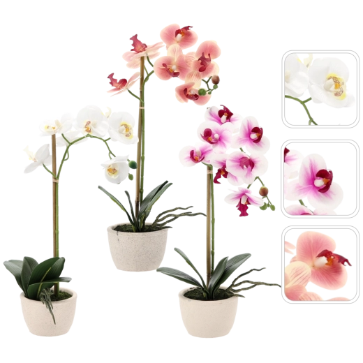 Dirbtinė orchidėja vazone, 3 spalvų mišinys, 43 cm