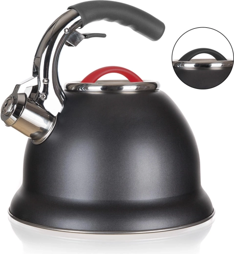 Nerūdijančio plieno švilpiantis virdulys ADVANTAGE 2,7 l