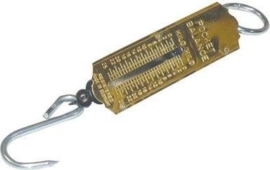 Portable spring scale 100 kg
