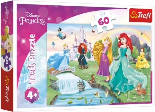 Dėlionė 60 dalių „Pažink princeses“ DISNEY PRINCESS Trefl