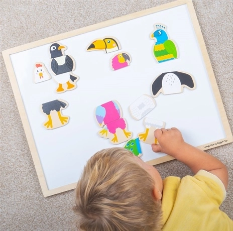 Mediniai magnetukai „Paukščių draugai“ BIGJIGS TOYS