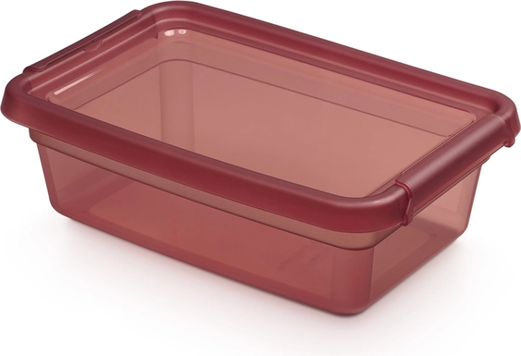 Basestore laikymo dėžutė su dangčiu ir spaustukais 3 l, 19 × 28 × 9 cm, Rhubarb