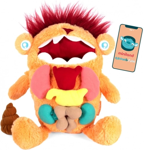 Educational Toy Creature - Discover the Amazing Interior