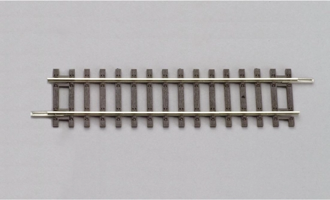 Piko tiesioji bėgio atkarpa G119