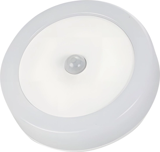 Night LED lamp with motion and dusk sensor ZN09 - 1 piece