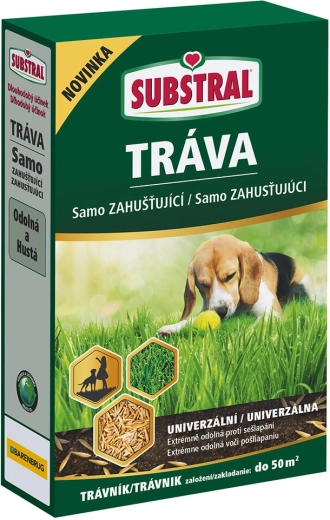 Savaime tankėjanti vejos sėklų mišinys EVERGREEN 1 kg