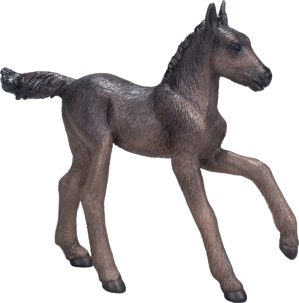 Mojo Arabian Foal Black