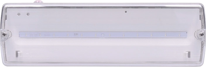 Solight LED avarinis šviestuvas 4 W 200 lm IP65 su automatiniu testu