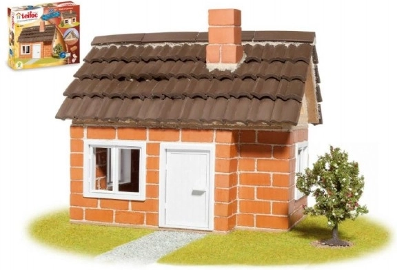 Konstruktorius Namas Teifoc Carlos