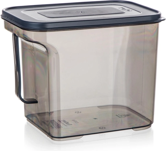 Plastikinė dėžutė su rankena 2,75 l Zoya