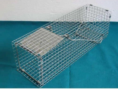 Gaudymo narvas iš cinkuoto plieno 140 × 140 × 480 mm