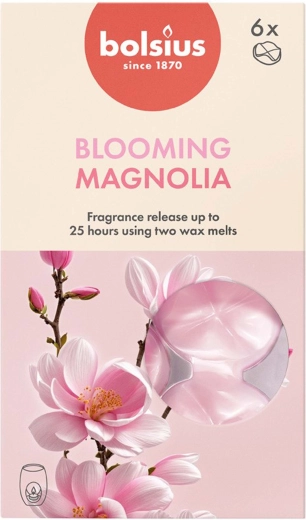 Magnolijų kvapo vaškai, 6 vnt. rinkinys