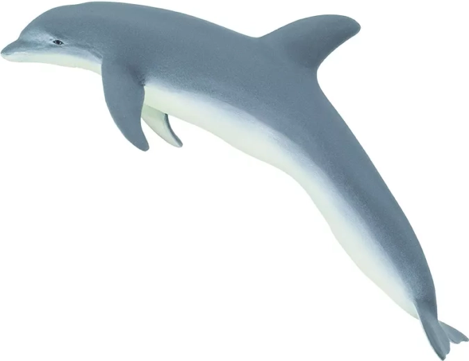 Didysis delfinas (afalina) Safari Ltd.