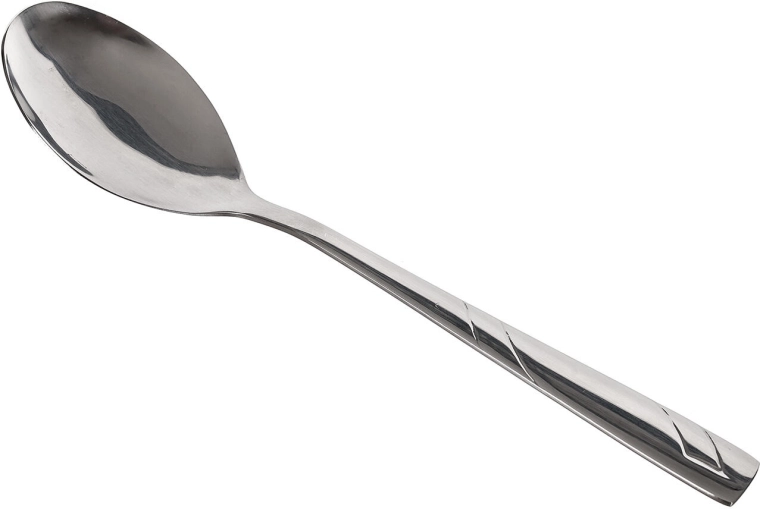 Destini Stainless Steel Teaspoon