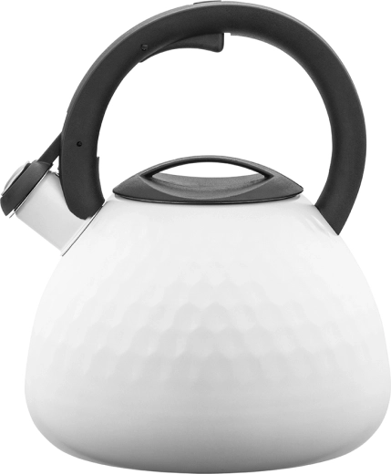 Stainless Steel Kettle Logan 2.7 L