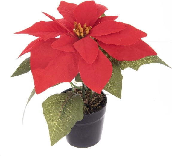 Artificial Christmas rose (poinsettia) in a flowerpot, red 19 cm