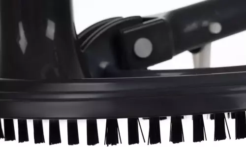 Kieti šepetėliai ir pusmėnulinė galvutė