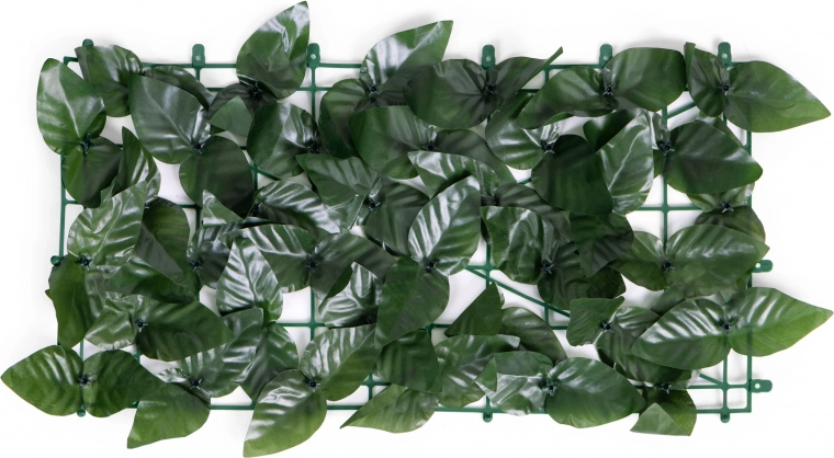 Natūrali lapų išvaizda ištisus metus