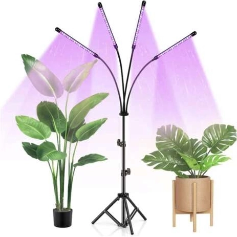 Trys šviesos režimai kiekvienam augimo ciklui