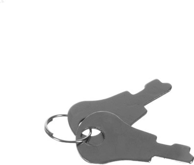 Saugus rakinamas užraktas