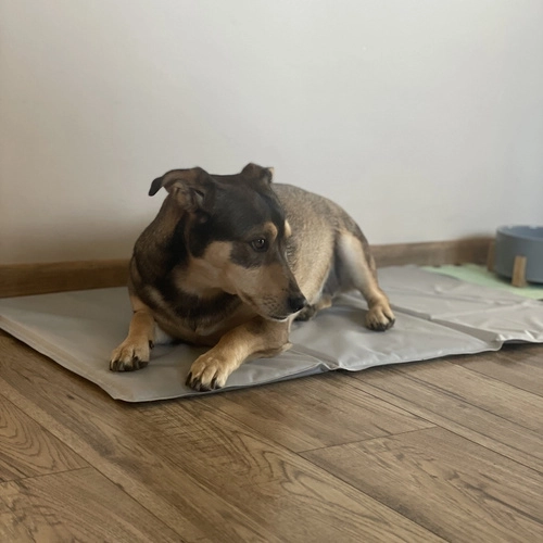 Lengva priežiūra ir laikymas