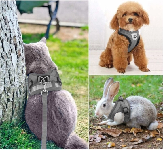 Universalus šunims, katėms ir triušiams