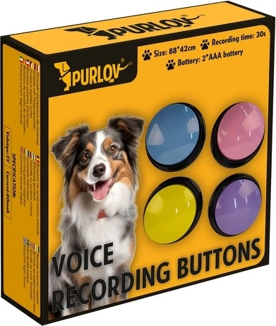 Spalvingas ir patrauklus dizainas