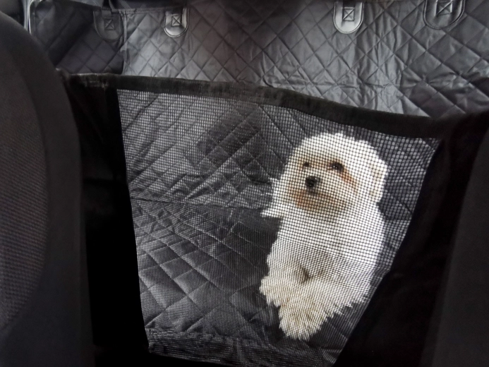 Tinklinė pertvara kontaktui ir oro srautui