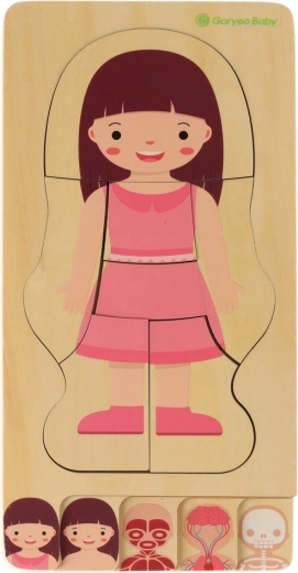 Sluoksniuota anatomija žingsnis po žingsnio