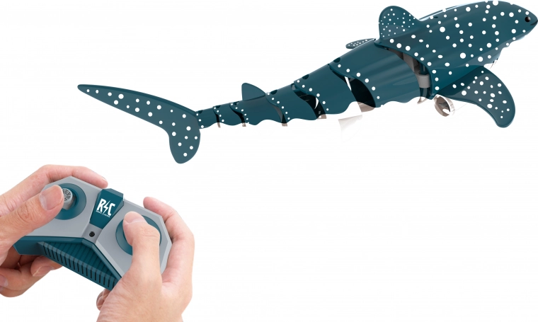 Sklandus ir realistiškas judėjimas vandenyje