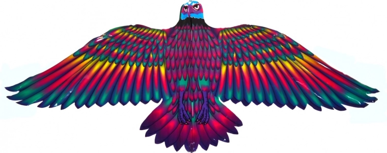 Stabilus skrydis dėl plačių sparnų