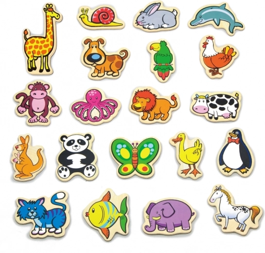 Spalvingos magnetinės figūrėlės