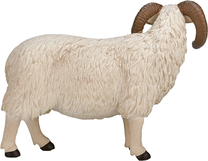 Faithful details of the Hampshire breed