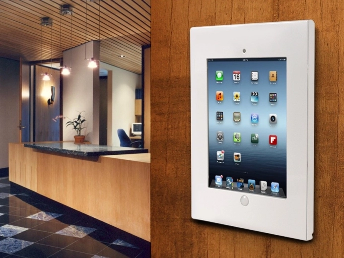 Secure mount for public spaces