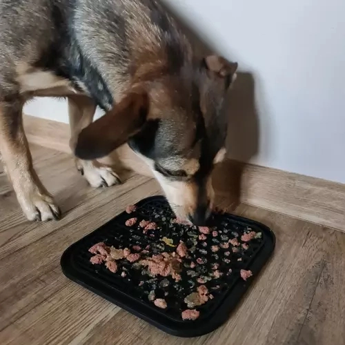 Dantenų masažas ir lėtesnis maitinimas