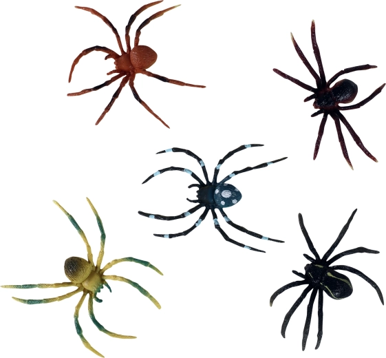 Spalvinė įvairovė