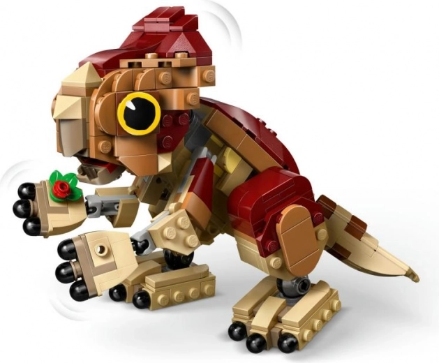 Surinkiamas augalas ir kruopštus apdirbimas