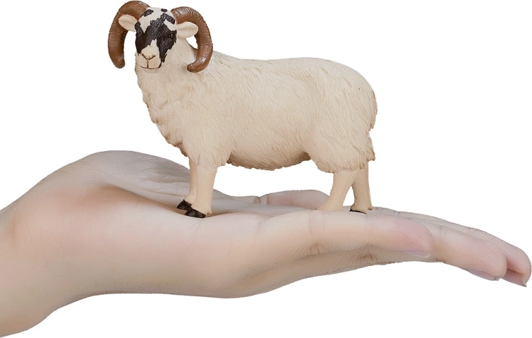 Ideal size for a child’s hand