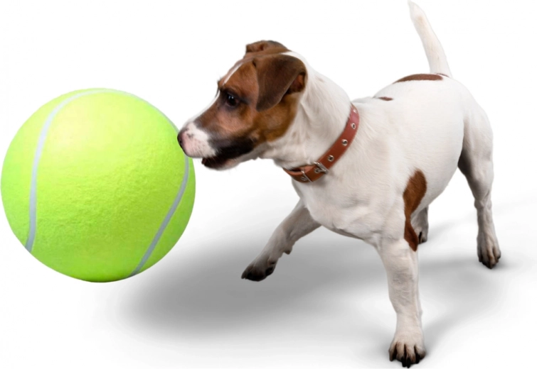 Idealu aportui ir bendrai sąveikai