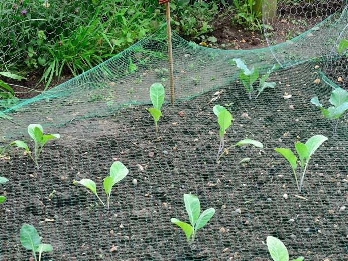 Lengvas montavimas ir pritaikymas