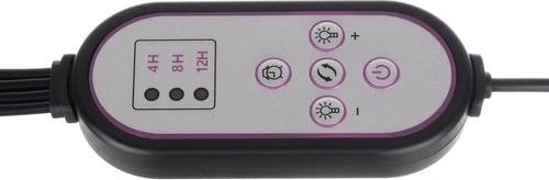 Išmanus laikmatis ir 10 ryškumo lygių