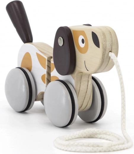 Tylus ir tolygus judėjimas