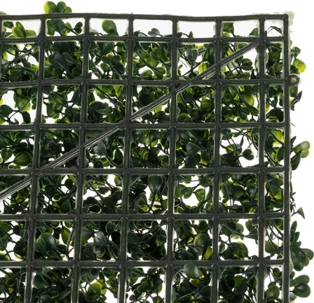 Realistinė išvaizda