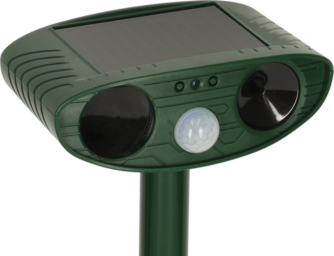 Maitinimas saulės energija