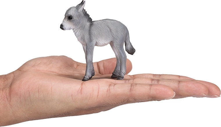 Compact Size