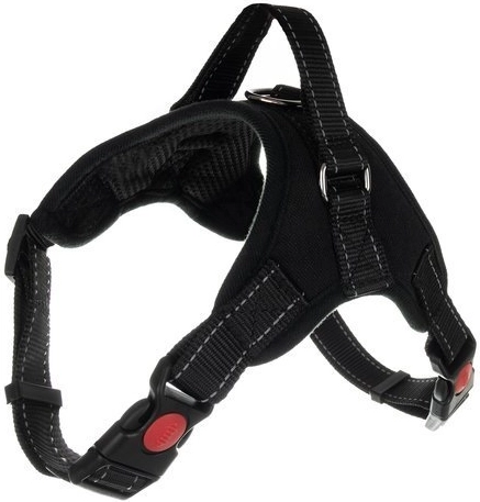 Atšvaitiniai elementai ir tvirtas D žiedas