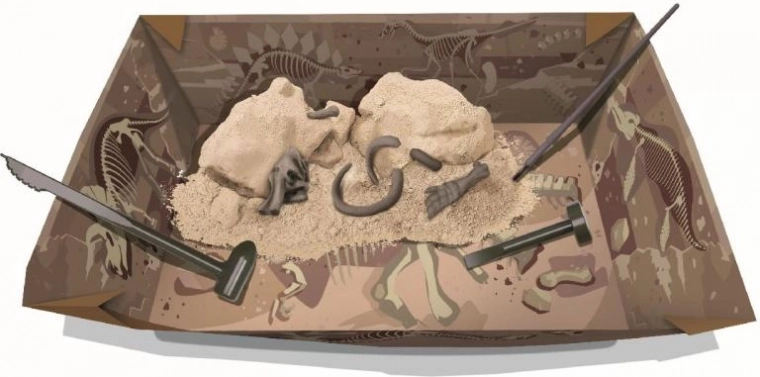 Kask ir atrask: gipsinis blokas su fosilijomis