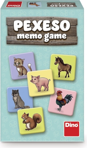 Kognityvinių įgūdžių lavinimas