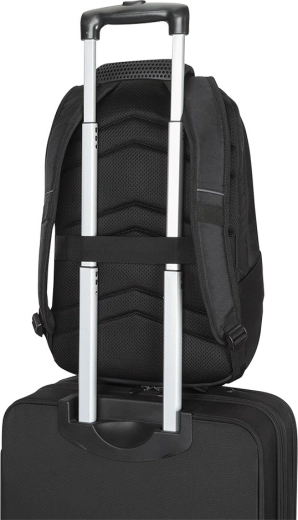 Ready for travel